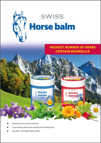 SWISS Horse balm cool