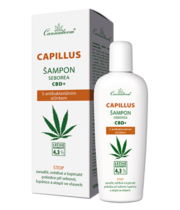 Cannaderm Capillus seborea s CBD+